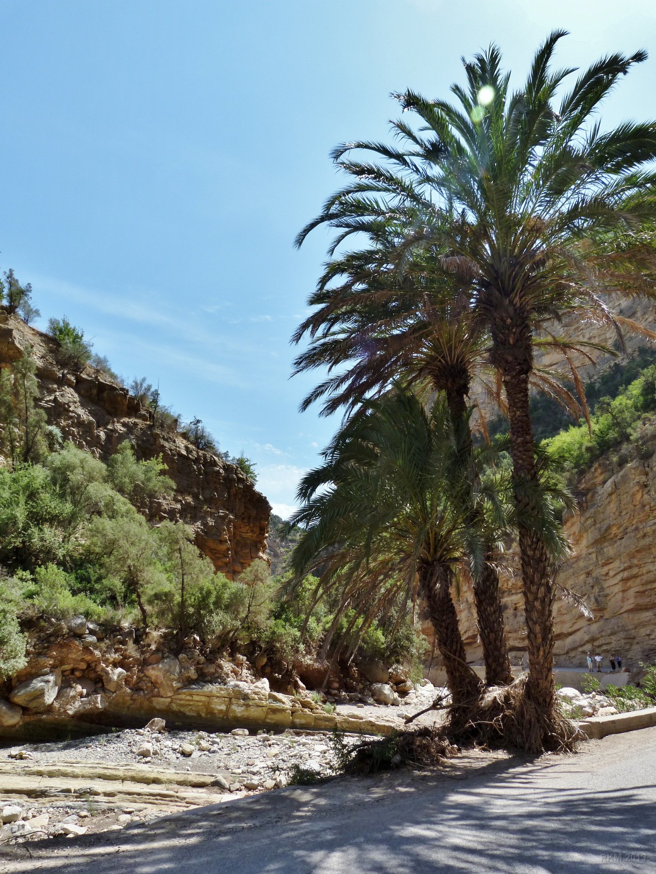 Vallée de Tamraght (Vallée du Paradis), 